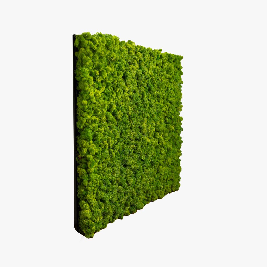 Afbeelding 3 van 4 in Moss Panel galerij