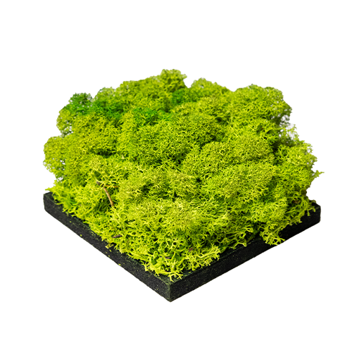 Appelgroen | Moss Panel - Kleurstaal