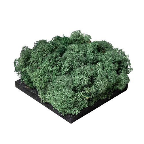 Mosgroen | Moss panel - Kleurstaal