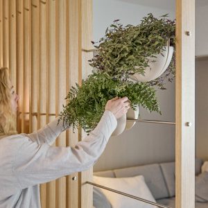 Een WoodUpp roomdivider van licht eiken met verticale latten en ingevoegde roestvrijstalen stangen waaraan twee matte witte, halve bol hangpotten van WoodUpp hangen. Een persoon bevestigt groene varens en hangplanten in de potten, decoratief als groene scheidingswand in een woonkamer.
